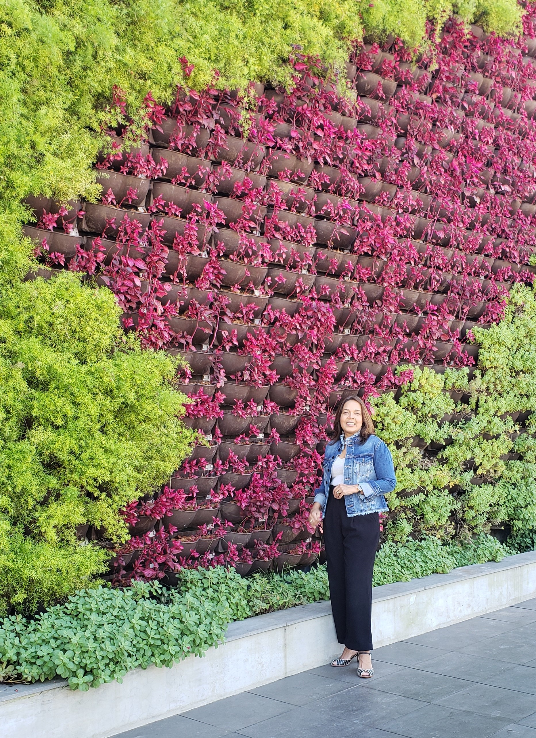 Jo Lima em frente a um jardim vertical